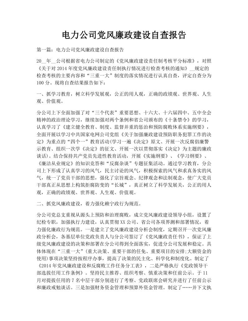 电力公司党风廉政建设自查报告