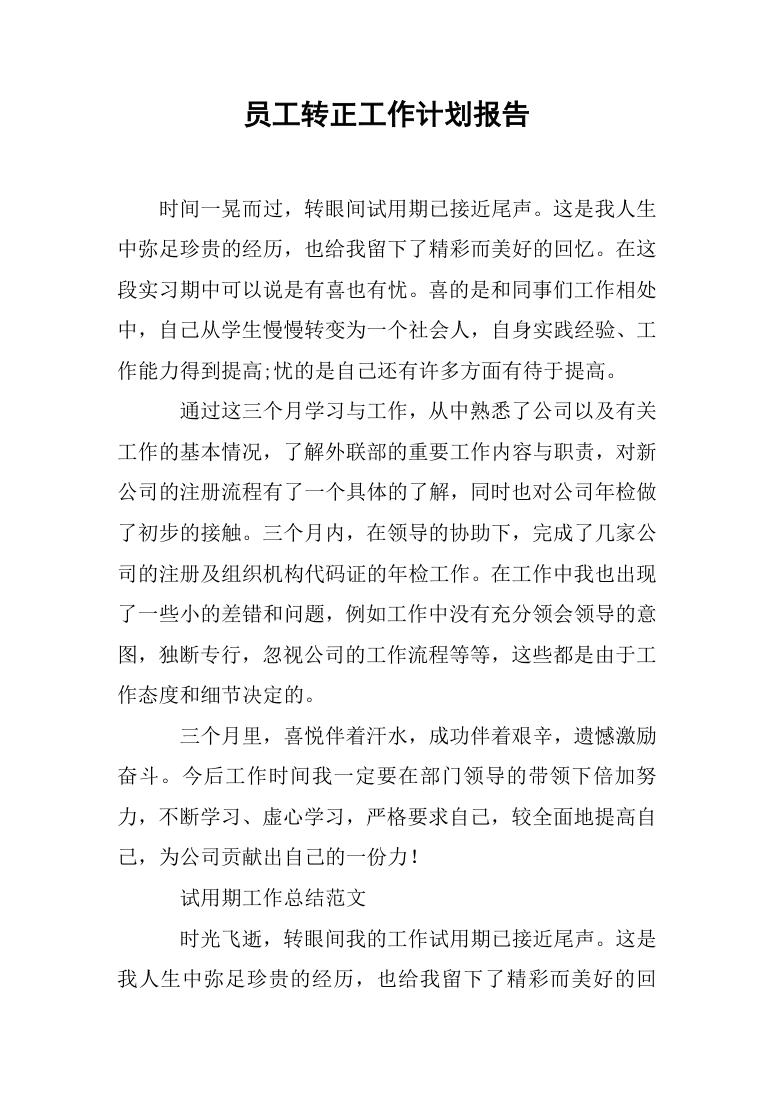 员工试用期满个人转正年终工作计划报告Word模板