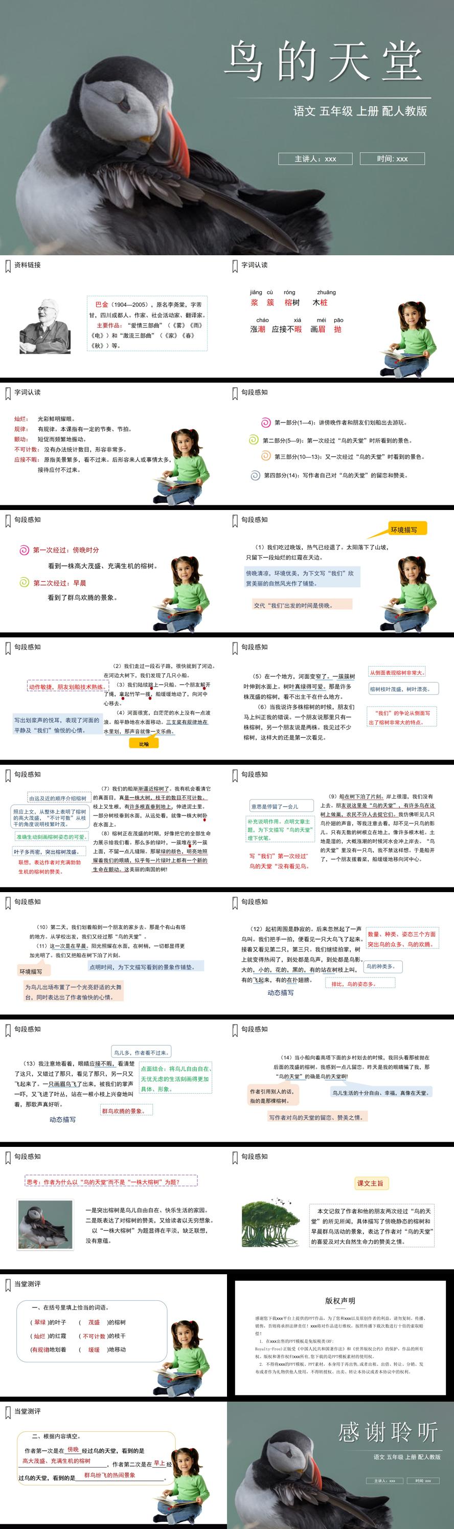 《鸟的天堂》人教版五年级上册语文PPT课件